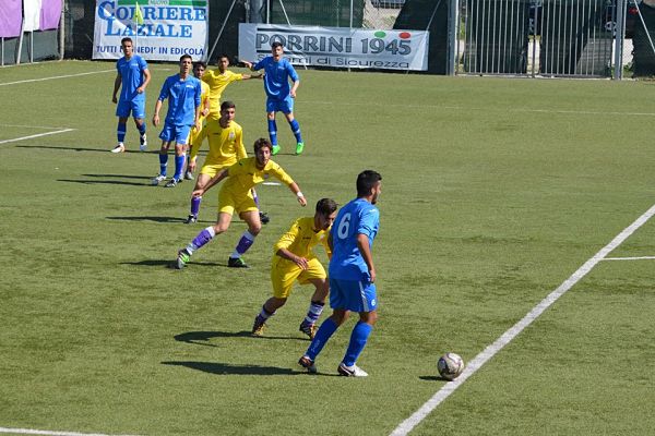 juniores