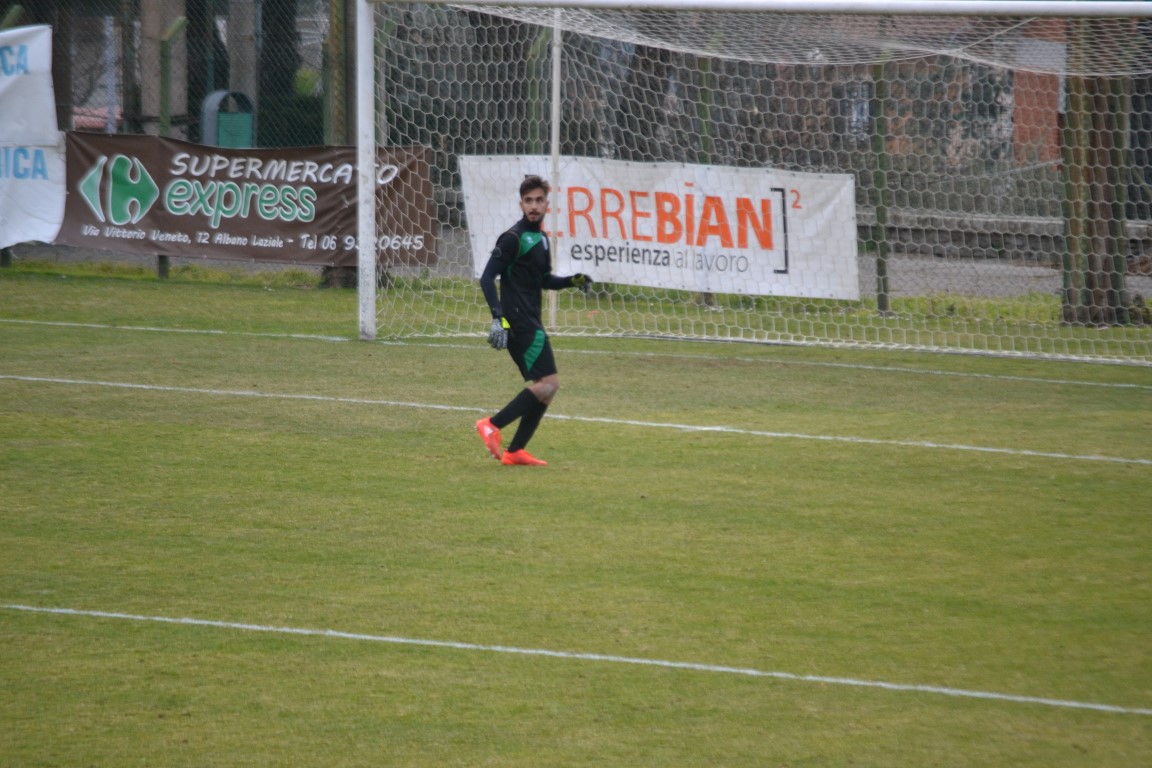 faiella%20ssdraa%20(2)